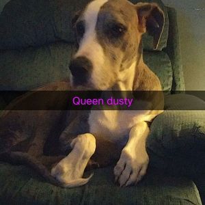 Meet your Posher, Aj